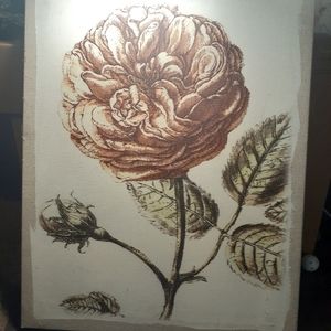 Stunning Painting of A Flower